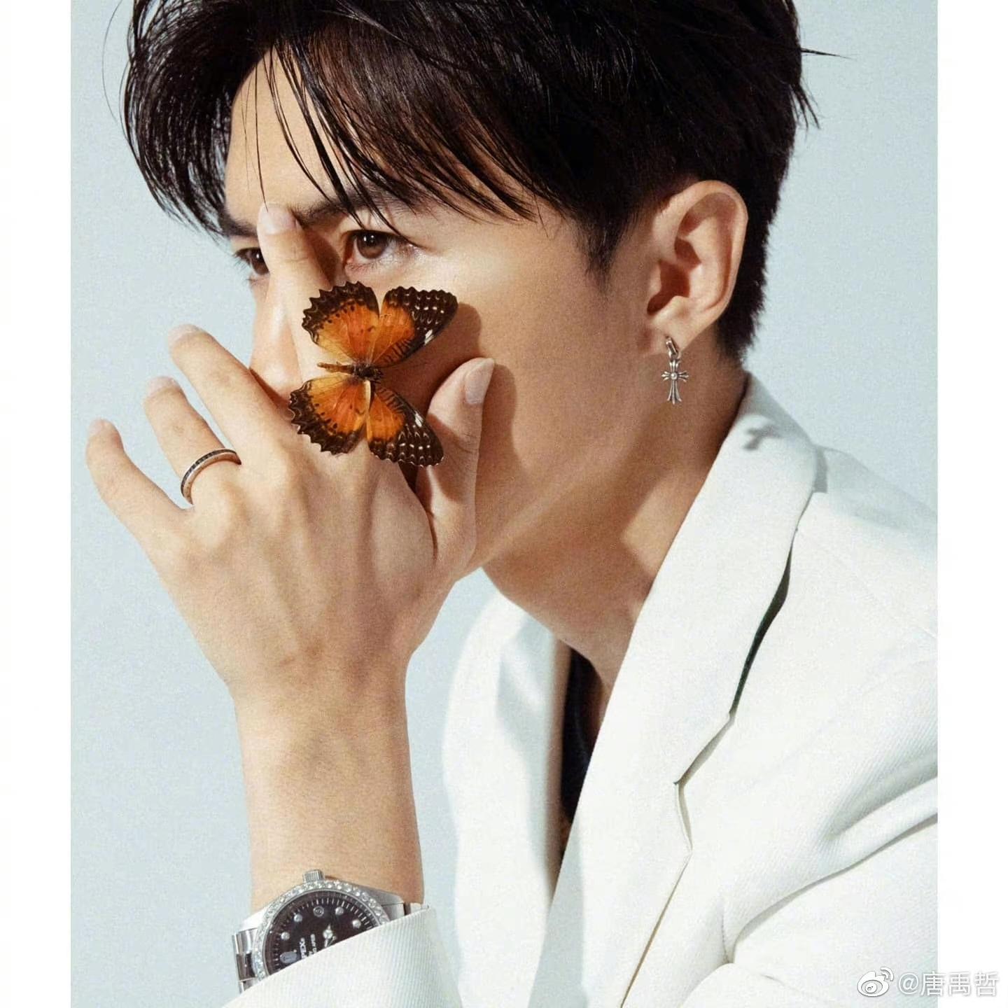 상세 이미지