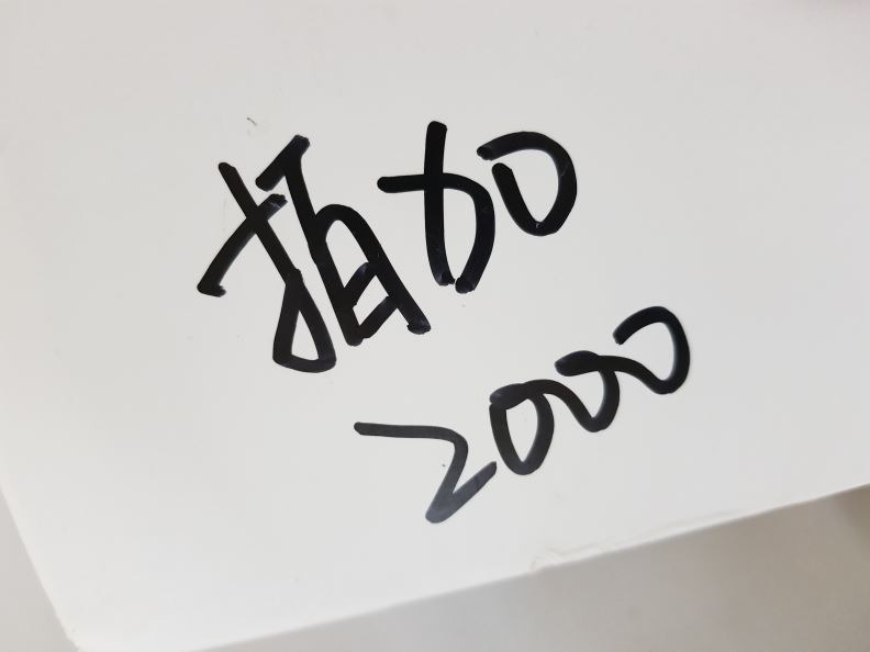 검수사진