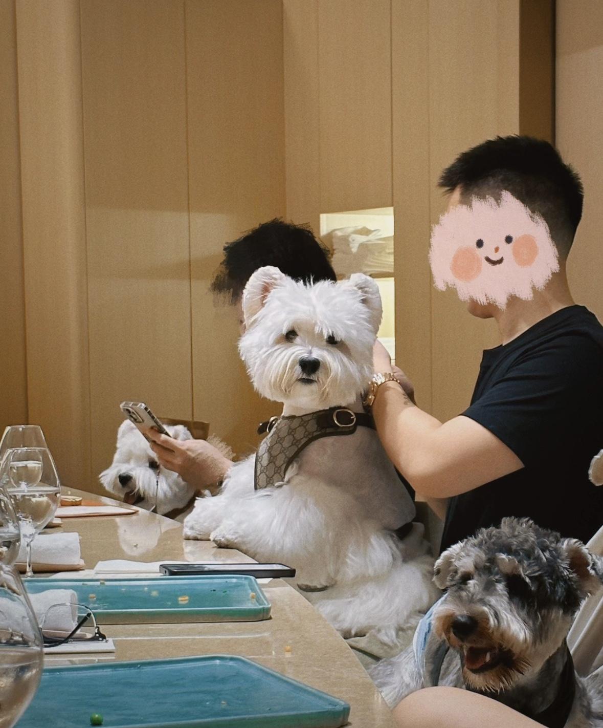 상세 이미지