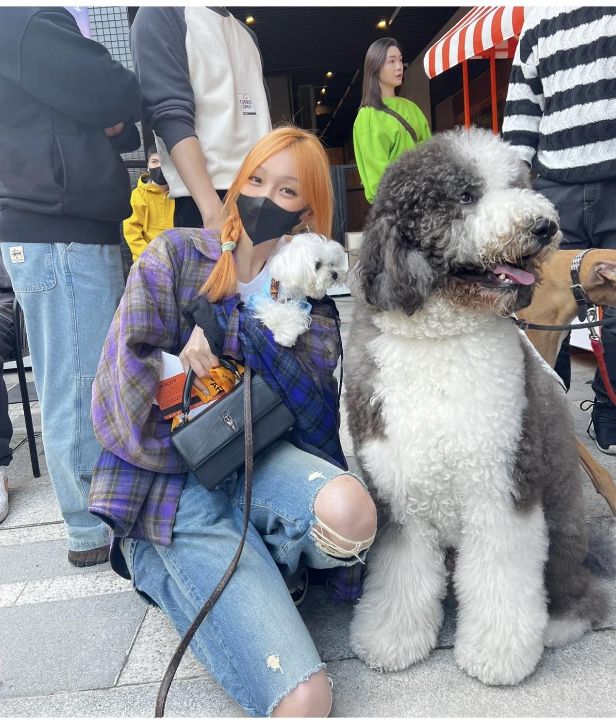 상세 이미지
