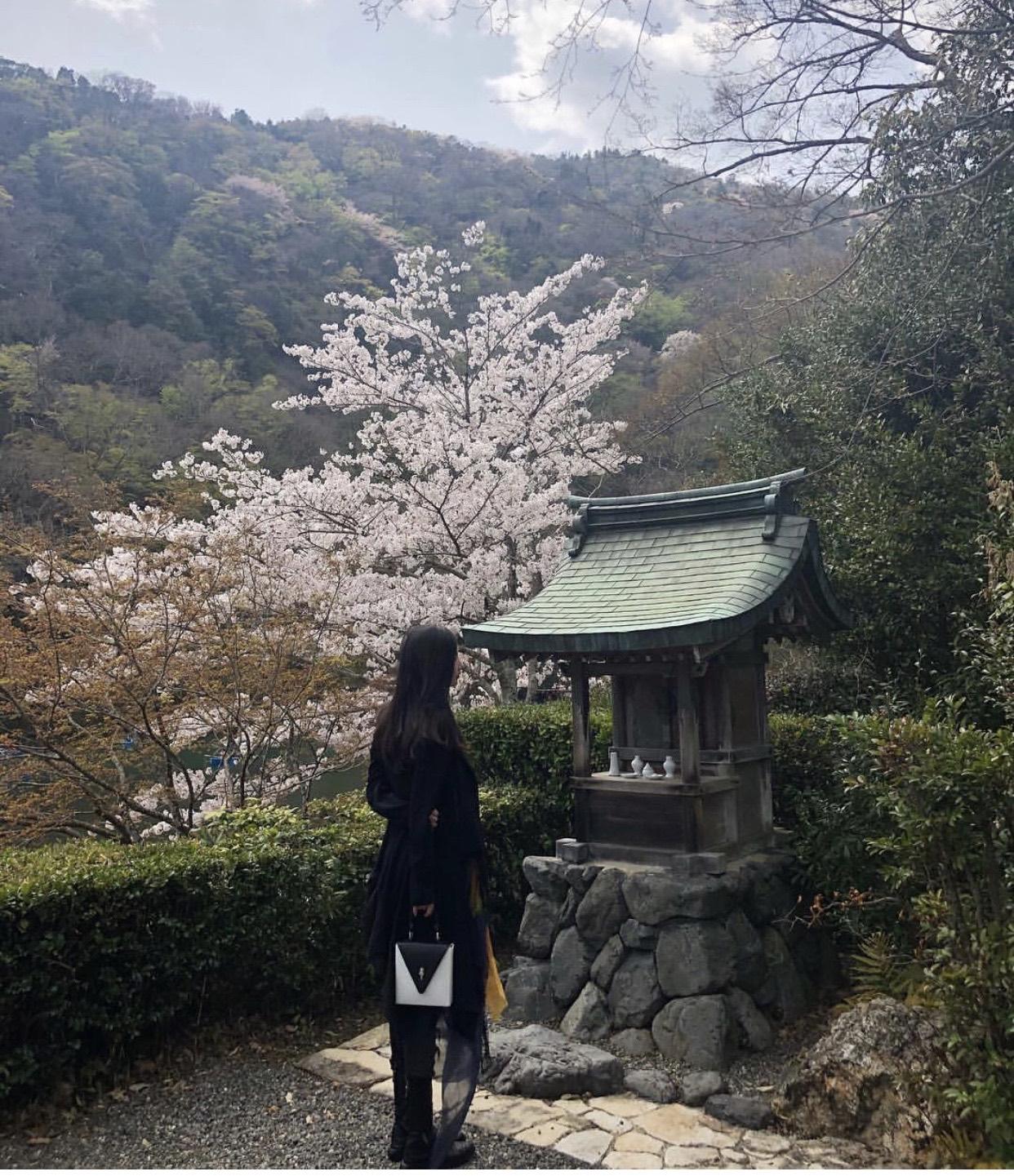 상세 이미지
