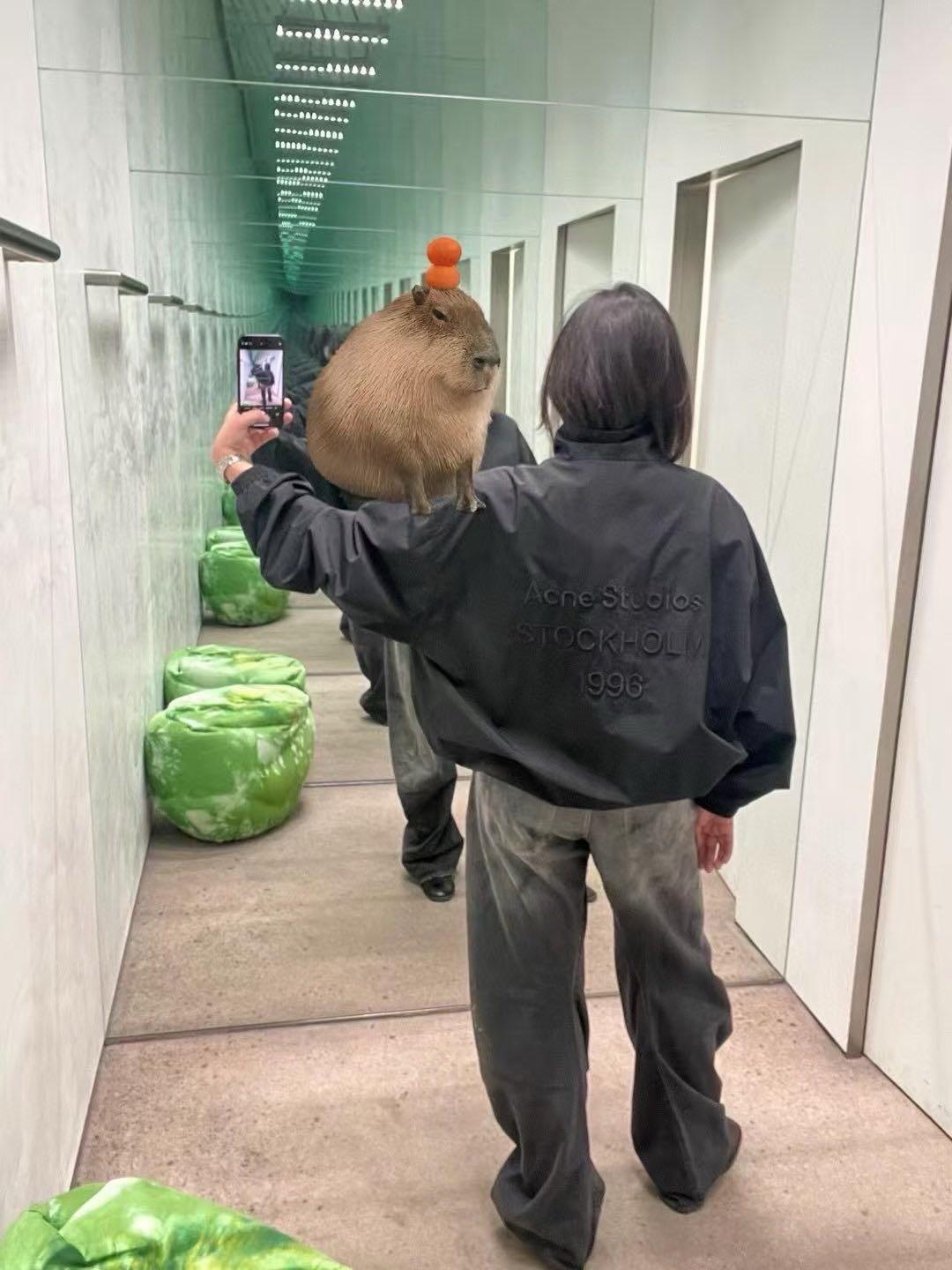 상세 이미지